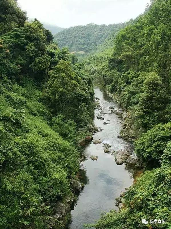沈梦辰杜海涛罕见秀恩爱，甜蜜牵手逛街，恩爱状态备受瞩目